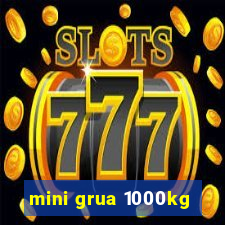 mini grua 1000kg